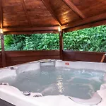 Tatrytop Dom Alpejski Wellness Residence Chalet
