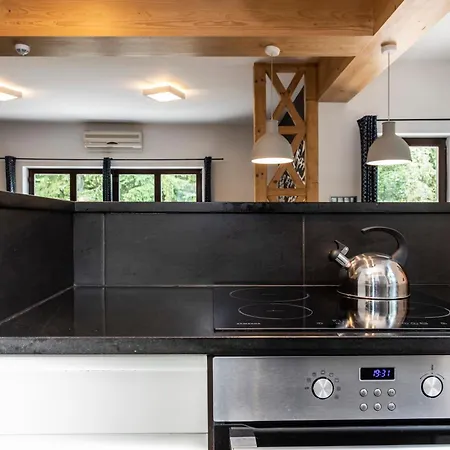 Tatrytop Alpejski * Kościelisko