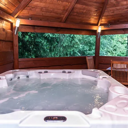 Tatrytop Dom Alpejski Wellness Domek alpejski Kościelisko