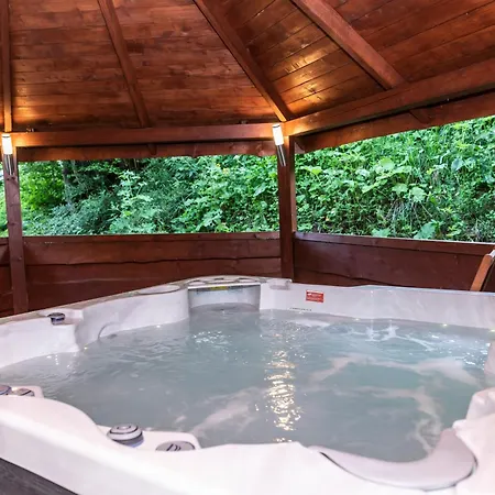 Tatrytop Dom Alpejski Wellness Chalet