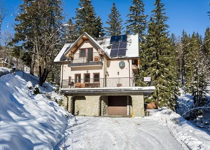 シャレー Tatrytop Alpejski コシチェリスコ